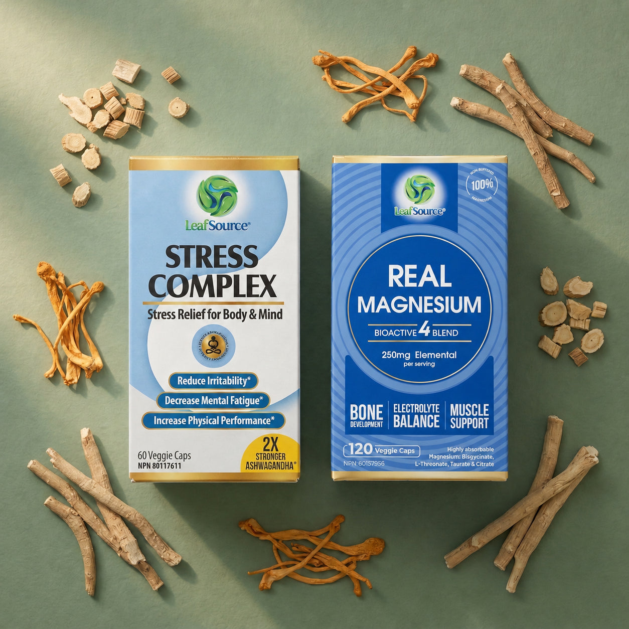 Stress & Recovery