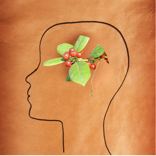 Berberine Side Effects, Safety & Drug Interactions