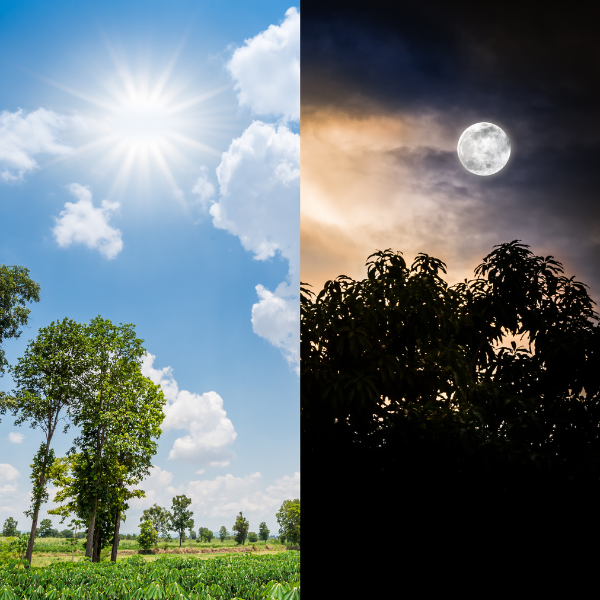 Best Time to Take Magnesium | Morning vs Night Explained