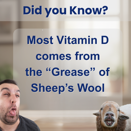 
                  
                    Real D3 K2 (MK7) 100 SoftGel - Plant Based
                  
                